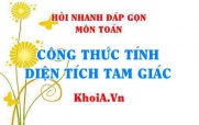 Công thức tính diện tích tam giác: Tam giác thường, tam giác vuông, tam giác cân, tam giác đều? Hỏi nhanh đáp gọn môn Toán